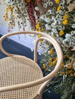 209 Armstol, hvid fra Thonet