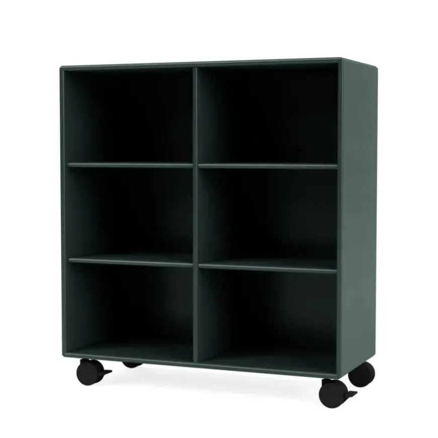 1113 reol inkl. ben fra Montana