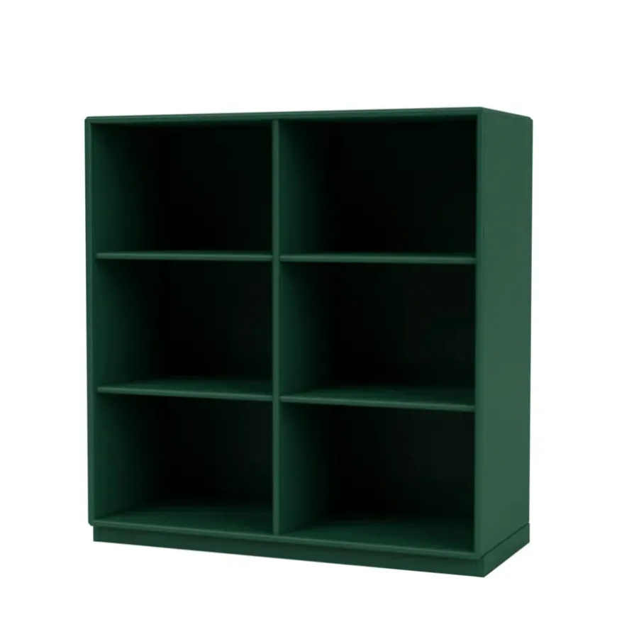 1113 reol inkl. ben fra Montana