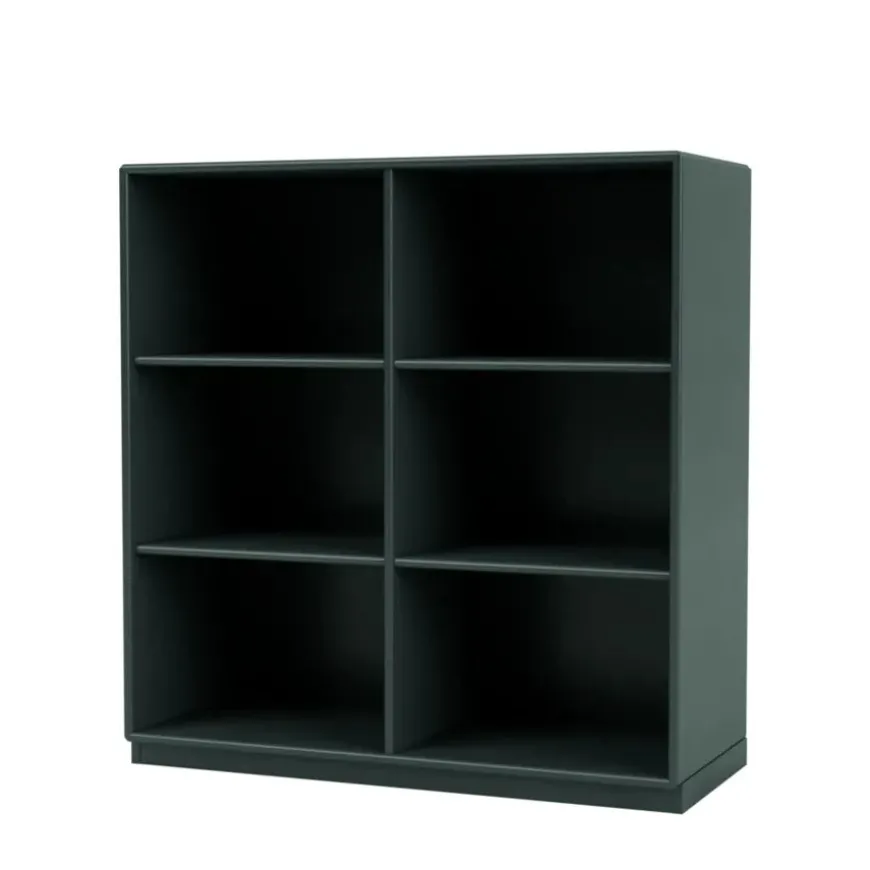 1113 reol inkl. ben fra Montana