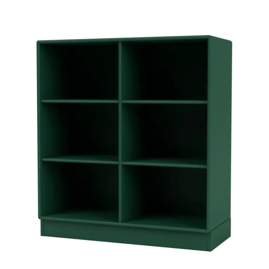 1113 reol inkl. ben fra Montana