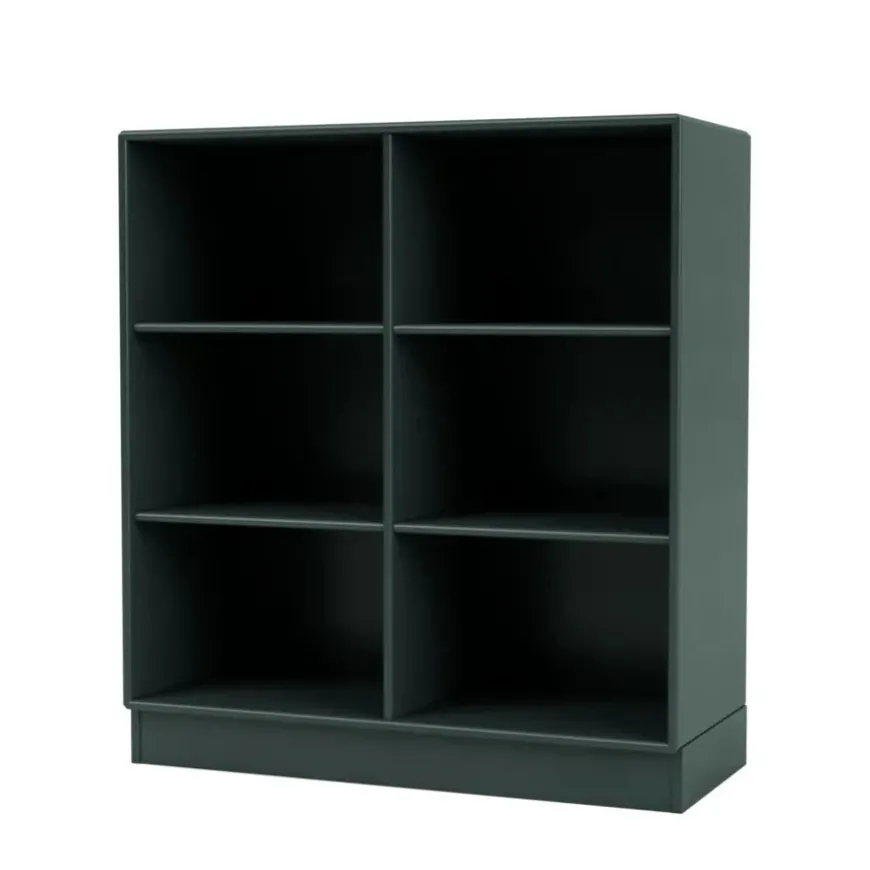 1113 reol inkl. ben fra Montana