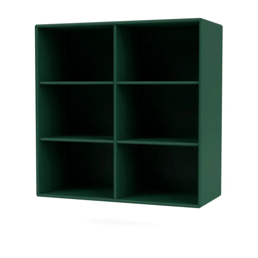 1113 reol inkl. ben fra Montana