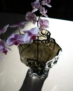 Ammonit Vase, clear fra Hein Studio
