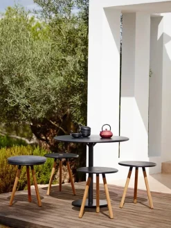 Area Bord fra Cane-line