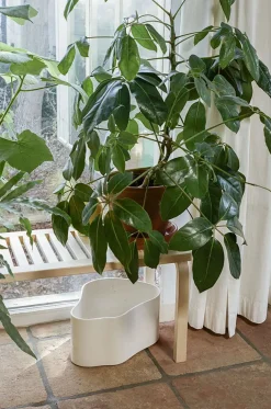 Bench 153 A fra Artek