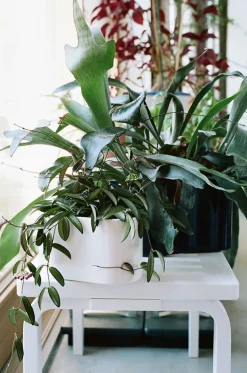 Bench 153 B fra Artek