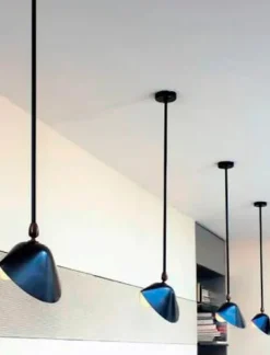 Ceiling Lamp Bookshelves af Serge Mouille
