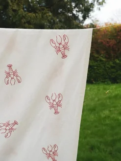 Celebration Dug fra Blåmst