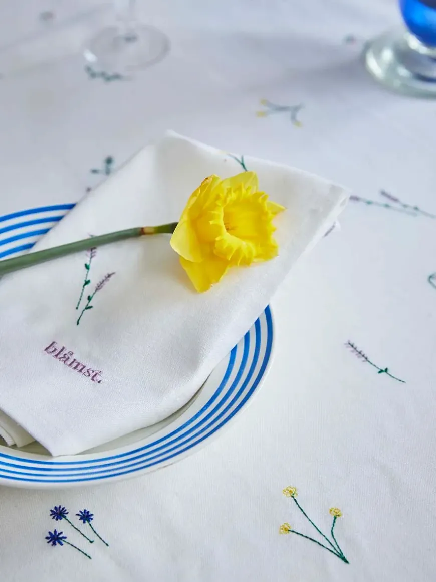 Celebration Dug fra Blåmst