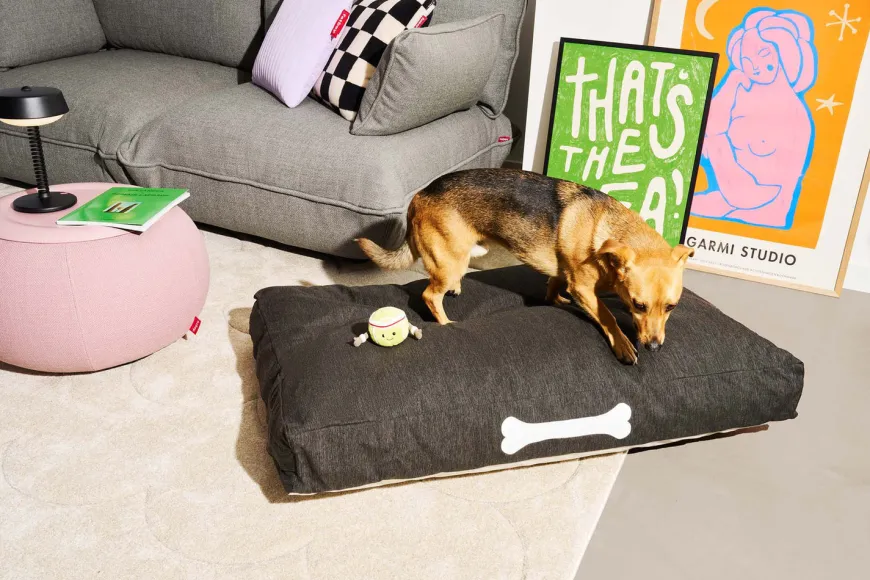 Doggielounge Olefin Large - Hundekurv fra Fatboy