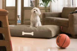 Doggielounge S Canvas Recycled – Hundekurv fra Fatboy