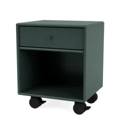 Dream inkl. ben fra Montana