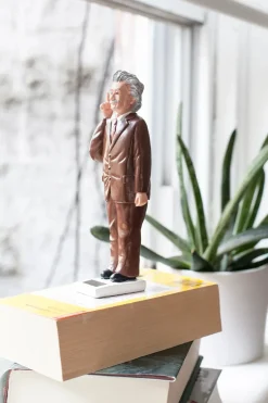 Kikkerland Solar Einstein