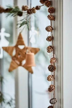 Kogleranke fra Ib Laursen