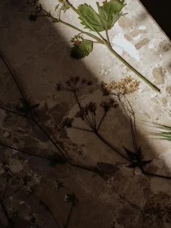 Konkylie Sofabord fra Wabi Sabi Nordic