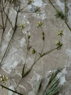 Konkylie Sofabord, marrone fra Wabi Sabi Nordic