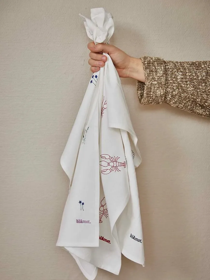 Musling Viskestykke fra Blåmst