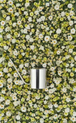 Original vandkande, 1,7 l fra Stelton