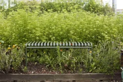 Palissade Bench, hot galvanised fra Hay