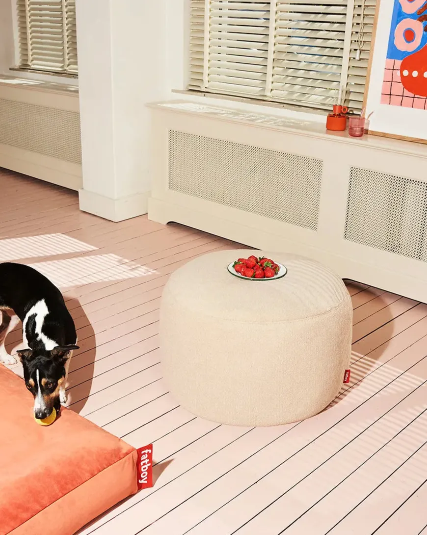 Point Terry fra Fatboy