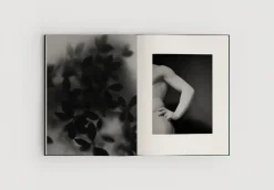 The Reinvention of Forms, Grey fra New Mags