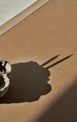 VIPP430 Studio Desk, bosco leather fra Vipp