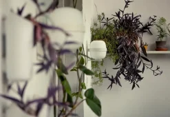 Wally Cesta Væglampe fra Santa and Cole