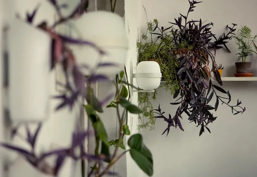 Wally Cesta Væglampe fra Santa and Cole